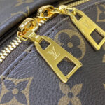 Louis Vuitton Palm Springs MM M44874 Brown